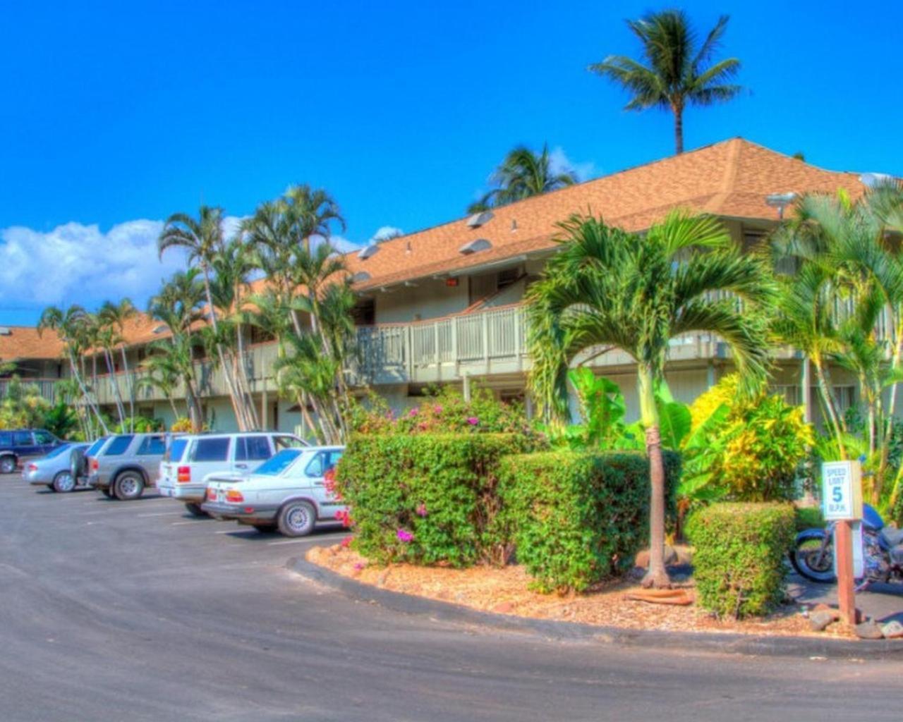 Kihei Bay Surf 130- Garden View Studio, Free Parking Exteriör bild