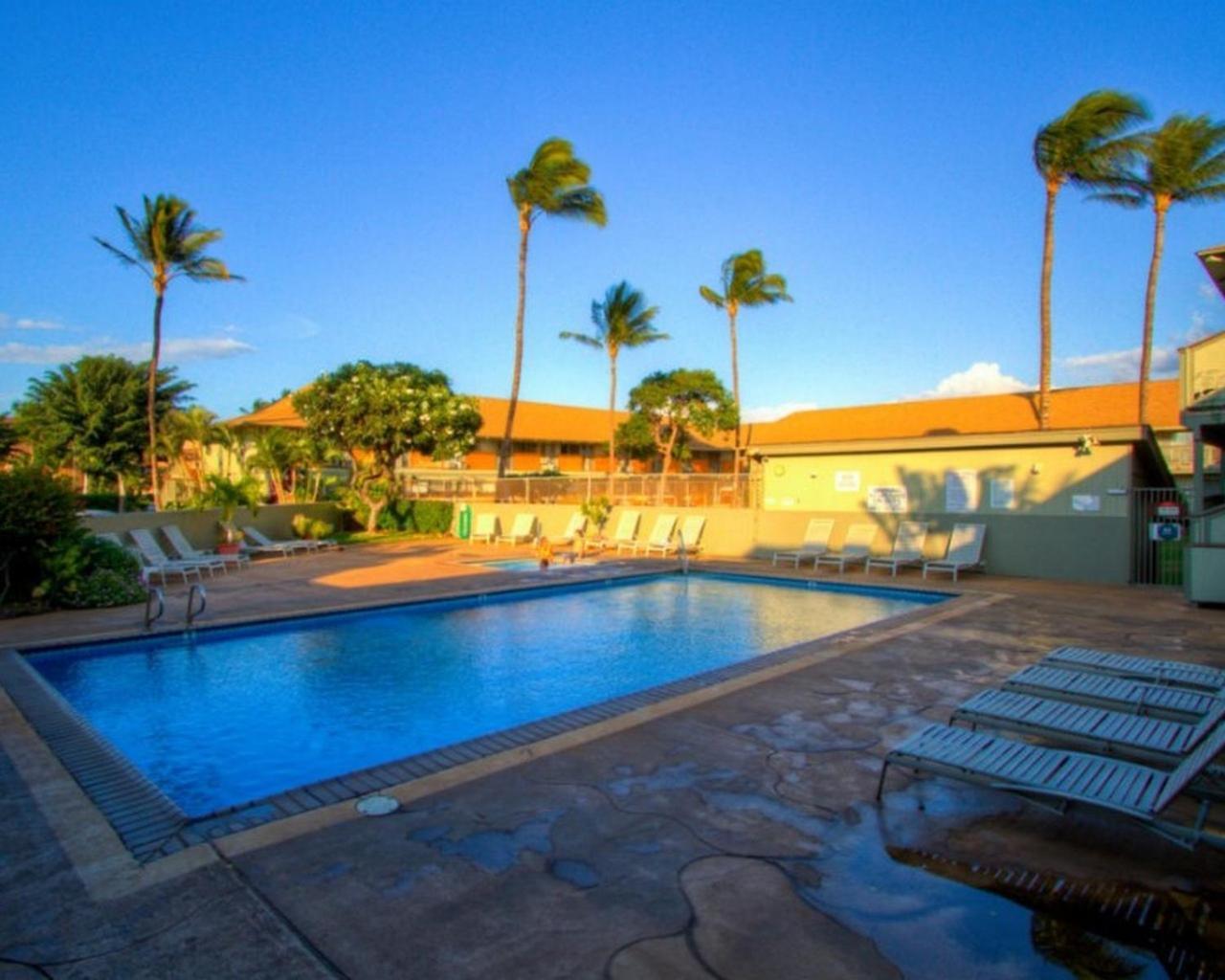 Kihei Bay Surf 130- Garden View Studio, Free Parking Exteriör bild